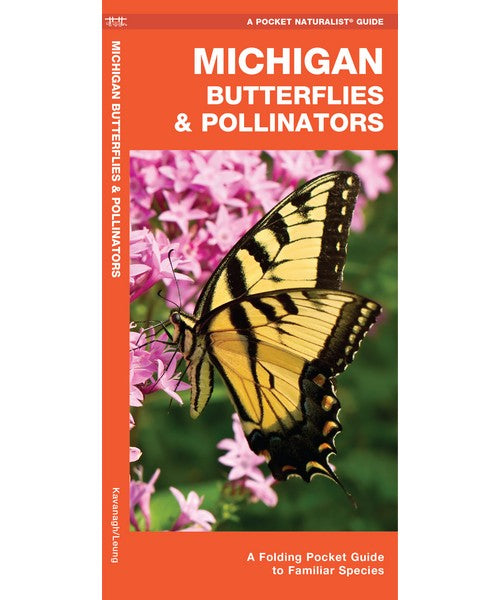Michigan Butterflies and Pollinators by James Kavanagh