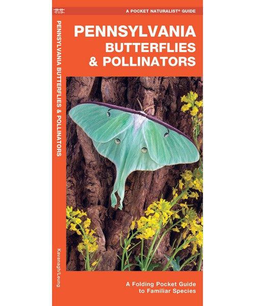 Pennsylvania Butterflies and Pollinator by James Kavanagh