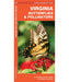 Virginia Butterflies and Pollinatos by James Kavanagh