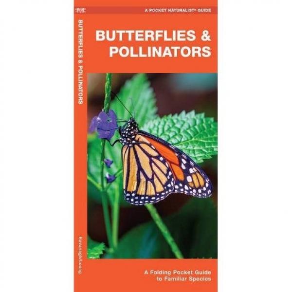 Butterflies and Pollinators A Folding Pocket Guide to Familiar Species