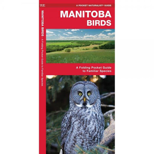 Manitoba Birds