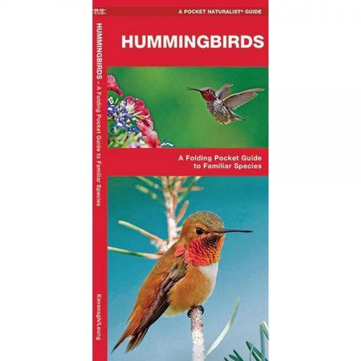 Hummingbirds Pocket Guide