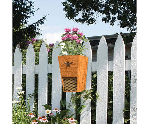 Heavy Duty Cedar Mason Bee House Planter