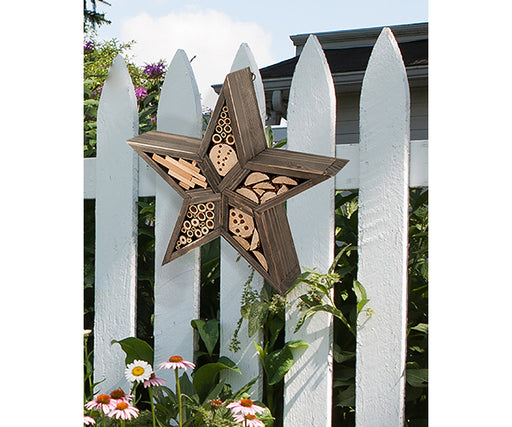 Rustic Star Insect House