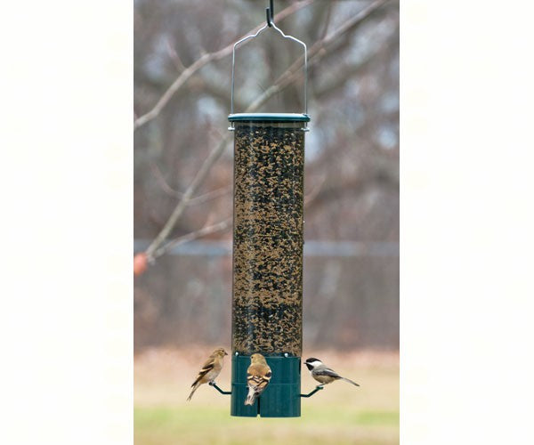 The Magnet Squirrel Proof Feeder