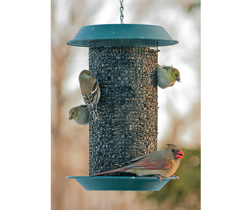 Magnum Sunflower Feeder 4 Qt.