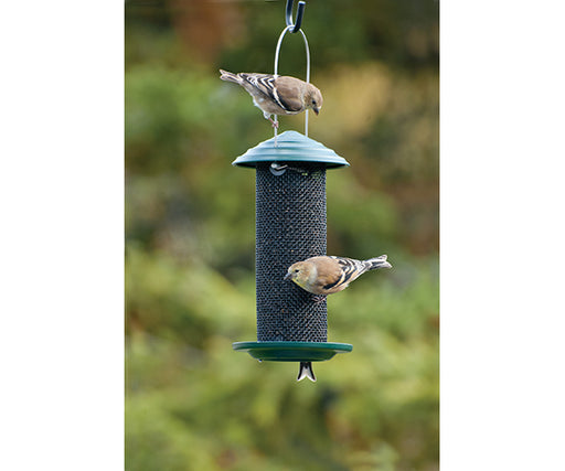 Magnum Thistle Feeder 1 Pt.