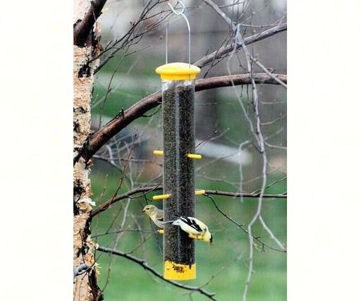 Tails Up Finch Feeder