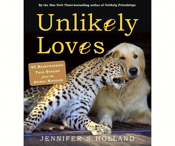 Unlikely Loves by Jennifer S Holland