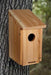 Cedar Woodpecker House - The Bird Shed