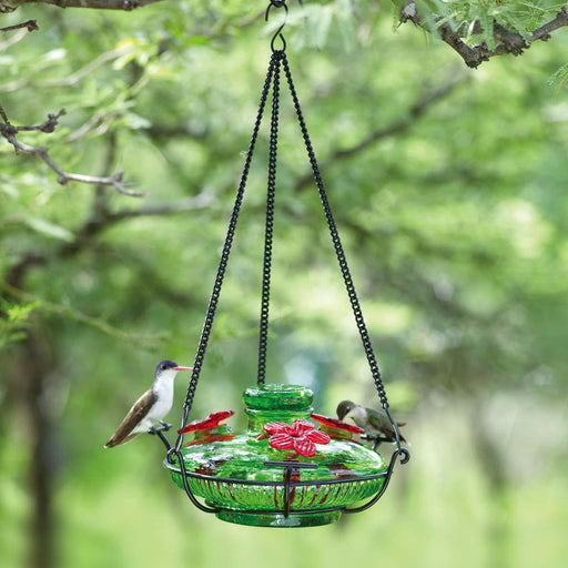 Artistic Hummingbird Feeders: Par-A-Sol BLOOM PERCH GREEN - The Bird Shed