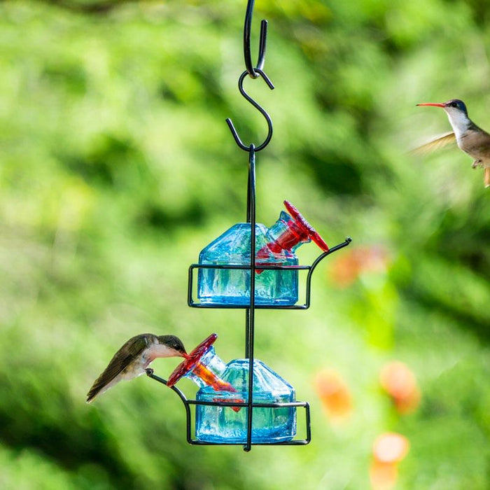 Parasol Lunch Pail 2 Hummingbird Feeder Green